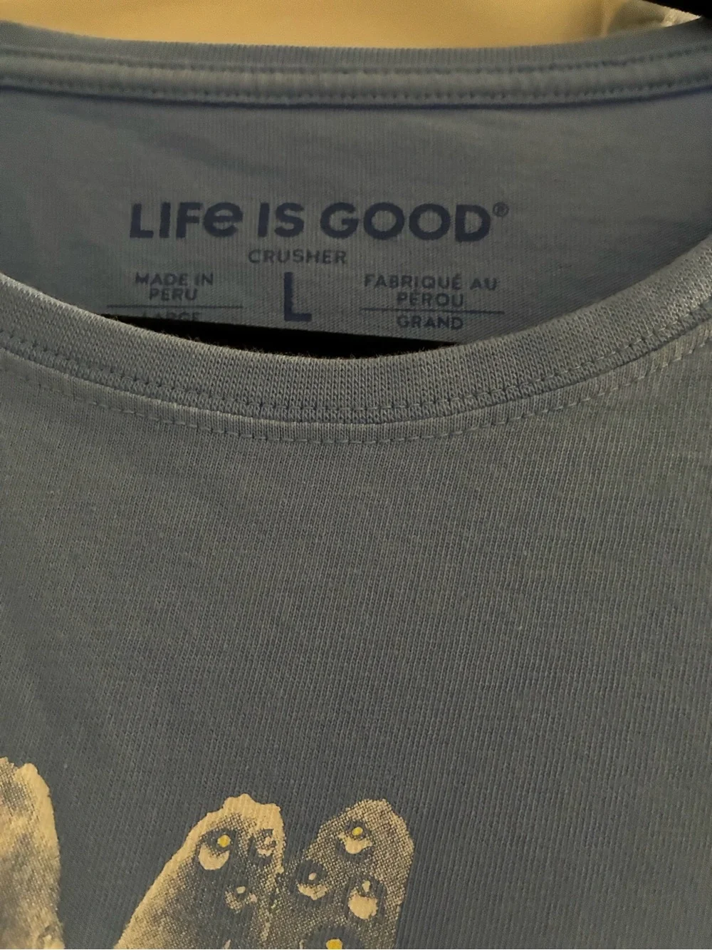 J. Crew Light Blue Floral Jeans and Life’s Good T-shirt Large
